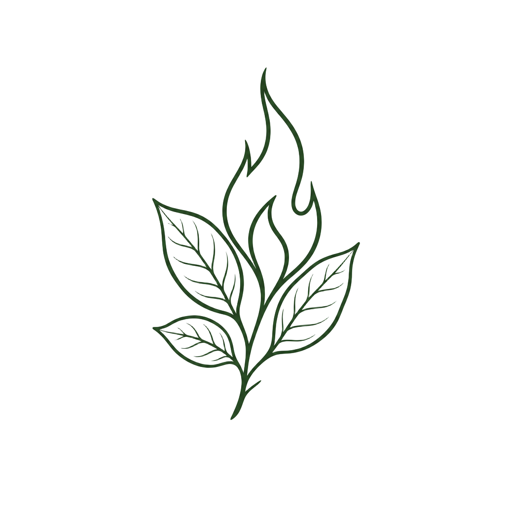 Tocte Resto Bar logo